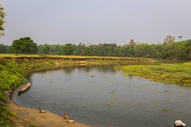 Timsah Chitwan Milli Parkı içinde