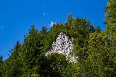 Karadağ dağ yaz panoraması