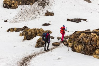 Narchyang, Nepal-Mart 23: Turist 23, 2015 yılında Narchyang, Nepal bir grup. Annapurna Merkez kampına bir güzergah üzerinde turist bir grup.