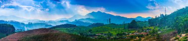Hindistan çay tarlaları. İl Kerala