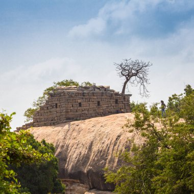 Arjuna's kefaret, Mahabalipuram, Tamil Nadu, Hindistan