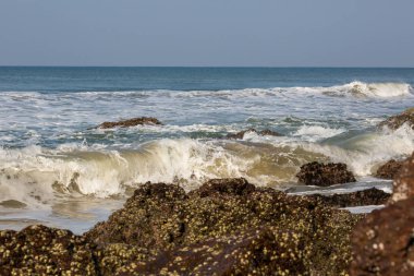 Varkala Beach'te. Hint Okyanusu
