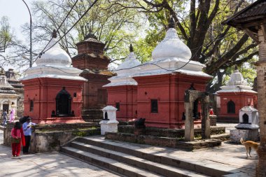 Katmandu, Nepal-Mart 28: Katmandu, Nepal Pashupatinath Tapınağı üzerinde 28 Mart 2015. bir ünlü, Kutsal Hindu Tapınağı.