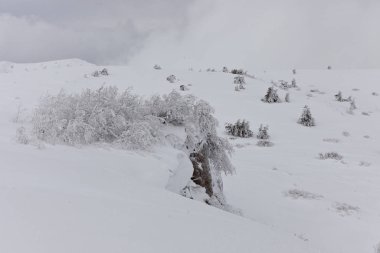 güzel karlı Highlands Kırım'doğal görünümü 