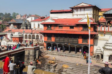 Katmandu, Nepal-Mart 28: Katmandu, Nepal Pashupatinath Tapınağı üzerinde 28 Mart 2015. bir ünlü, Kutsal Hindu Tapınağı.