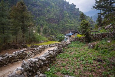 Himalaya köyü Everest Ana kampı için yolda