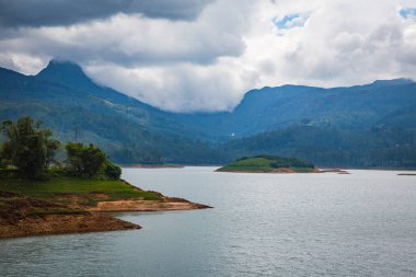 güzel yeşil tarım çay plantasyon Sri Lanka