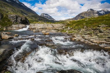 görkemli şelale ve yeşil bitki örtüsü Jotunheimen Milli Parkı, Norveç 