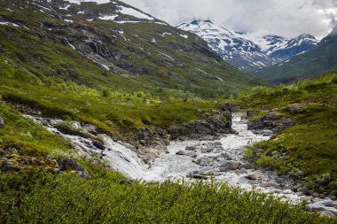 görkemli şelale ve yeşil bitki örtüsü Jotunheimen Milli Parkı, Norveç 