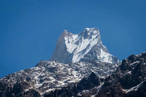 izleme Annapurna Merkez kampına Himalaya dağlarının güzel manzara