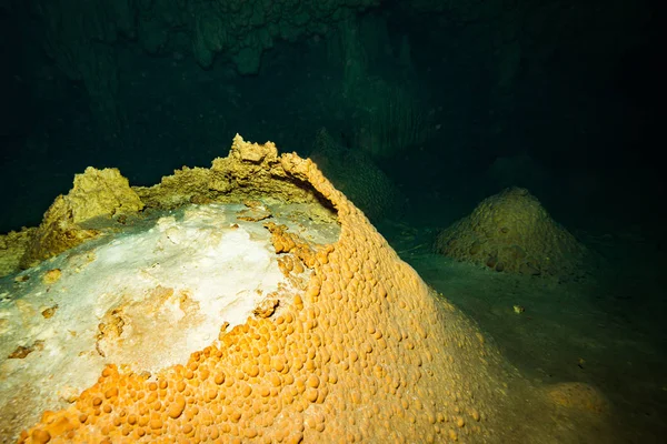 Underwater Bild Grottan Ocean Botten Mexiko — Stockfoto