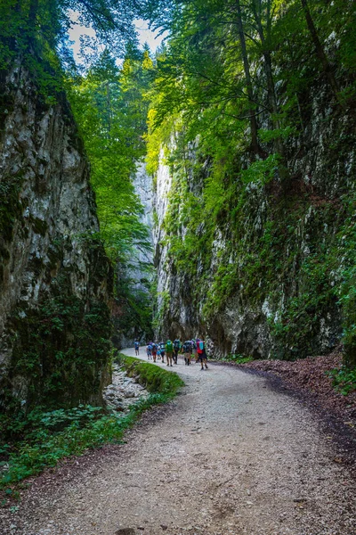 Panorama Verano Cordillera Montenegrina — Foto de Stock