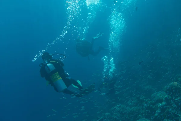 Buceadores Arrecife Del Mar Rojo — Foto de Stock