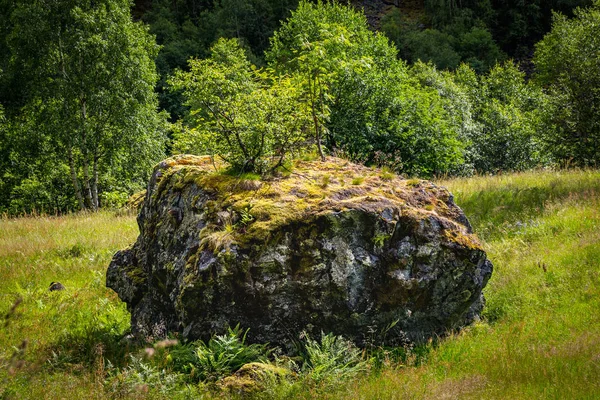 Norveç Milli Parkı Jotunheimen güzel manzara