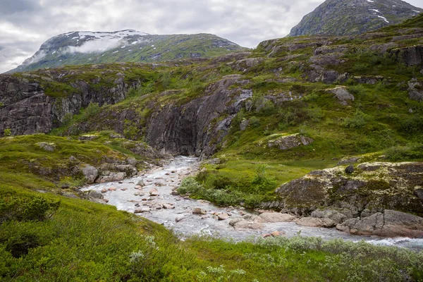 Majestatyczny Wodospad Zielonej Roślinności Parku Narodowym Jotunheimen Norwegia — Zdjęcie stockowe