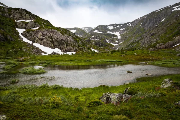 Prachtige Zomer Landschap Folgefonna Nationaal Park Noorwegen — Stockfoto