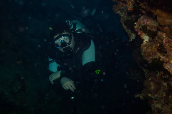 Дайвер Водой Возле Острова Тао Koh Tao — стоковое фото