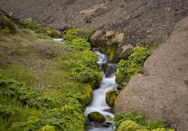 Река Национальном Парке Тосморк Исландия — стоковое фото