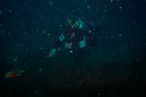 Diver Underwater Koh Tao Island — Stock Photo, Image