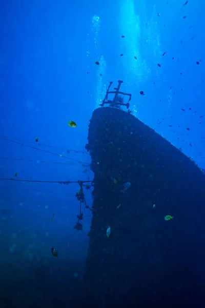 Tiro Subaquático Navio Afundado Fundo Oceano Bali Indonésia — Fotografia de Stock