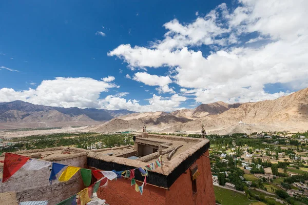 Leh Sarayda Ladakh Hint Himalayalar — Stok fotoğraf