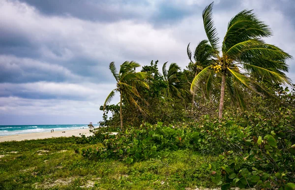 Plaży Varadero Zimie Kuba — Zdjęcie stockowe