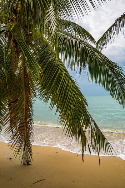 Piękne Morze Wybrzeżu Koh Samui Tajlandia — Zdjęcie stockowe