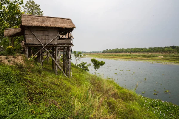 Vacker Utsikt Över Vackert Landskap Med Flora Och Fauna Chitwan — Stockfoto