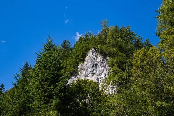 Летняя Панорама Горного Массива Черногории — стоковое фото