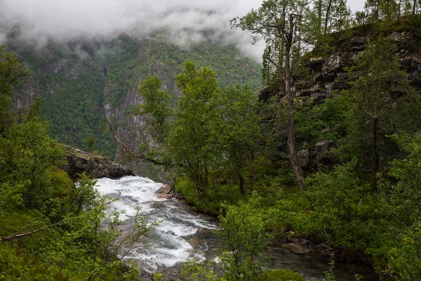 Norveç Jotunheimen Milli Parkı Nda Görkemli Nehri — Stok fotoğraf