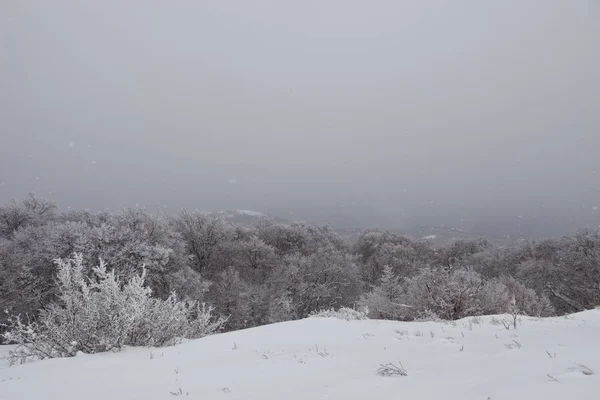 Vista Panorámica Las Hermosas Tierras Altas Nevadas Crimea —  Fotos de Stock