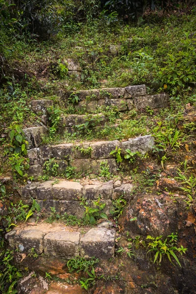 Vecchia Scala Sullo Sri Lanka — Foto Stock