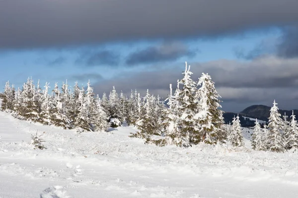 ウクライナのカルパチア山脈の雪に覆われた美しい冬の風景 — ストック写真