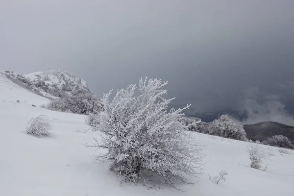 Malebný Pohled Krásné Zasněžené Vrchoviny Krymu — Stock fotografie
