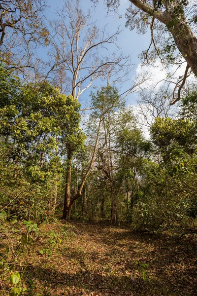 Vista Panoramica Della Provincia Scadenza India — Foto Stock