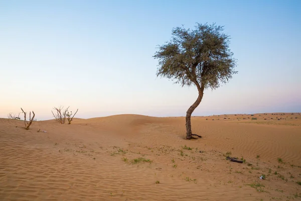 Wüste Den Vereinigten Arabischen Emiraten — Stockfoto