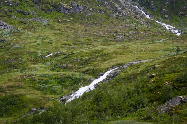 Majestuosa Cascada Vegetación Verde Parque Nacional Jotunheimen Noruega —  Fotos de Stock