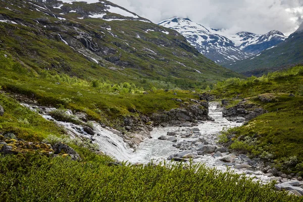 Maestosa Cascata Vegetazione Verde Nel Parco Nazionale Jotunheimen Norvegia — Foto Stock