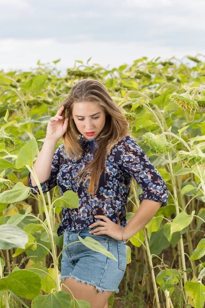 Joven Linda Chica Posando Campo Girasol — Foto de Stock