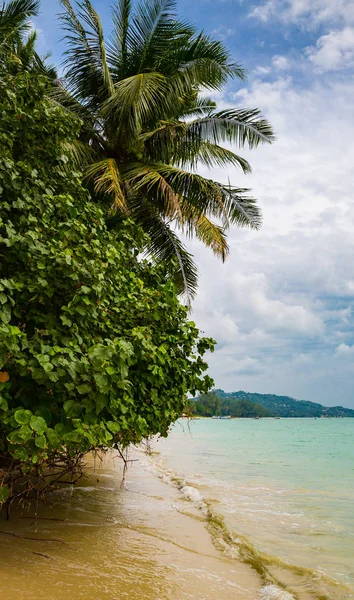 Beautiful Sea Coast Koh Samui Thailand Stock Picture