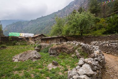 Everest Ana kampı, Himalayalar için yolda iz