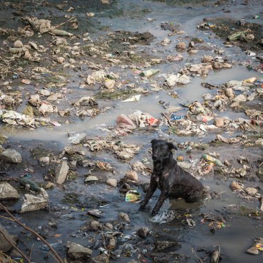 doğal görünümünü tarihi: Hindistan eyaleti