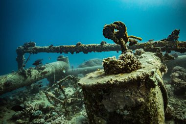 Sualtı atışı ve deniz zemini