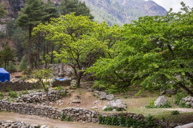 Himalaya köyü Everest Ana kampı için yolda.