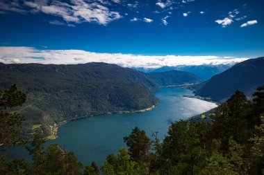 Yükseklikten panoramik Sognefjorden üzerinde