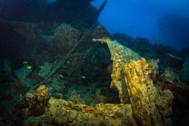 II. Dünya Savaşı sırasında Red Sea, Mısır İngiliz askeri nakliye gemisi battı