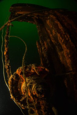 Korosten town yakınındaki taş ocağı 