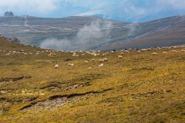 Karadağ dağ sırtı Karpatlar içinde güzel yaz Panoraması  