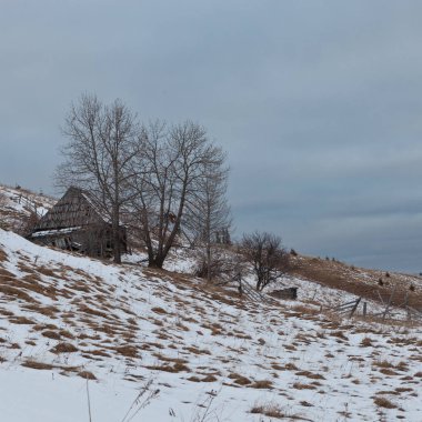Turistik Yerler ve yerlere seyahat, Carpathian Mountains, Ukrayna