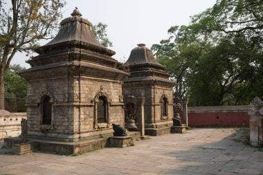 Kathmandu Pashupatinath Tapınağı. Nepal.